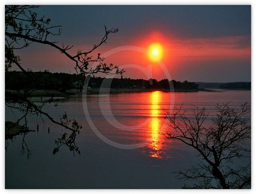 Images/photogallery11.jpg