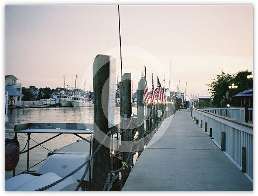 Images/Shemcreek7.jpg