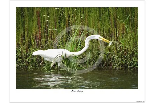 Gone Fishing open-edition giclée print