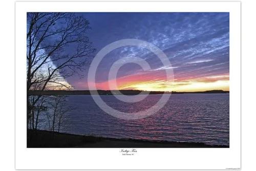 Indigo Fan open-edition giclée print