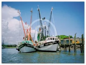 Historical South Carolina photography