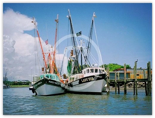 Shem Creek Ladies by Suzette Morganelli