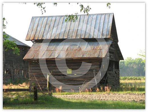 Old Barn by Suzette Morganelli