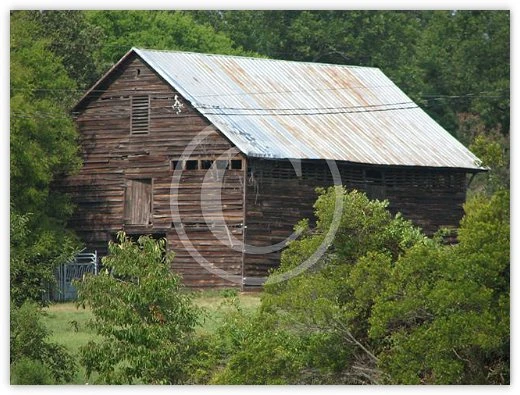 Old Barn on Lake Murray by Suzette Morganelli