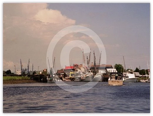 Shem Creek by Suzette Morganelli