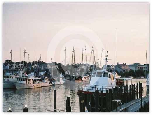 Shem Creek One by Suzette Morganelli