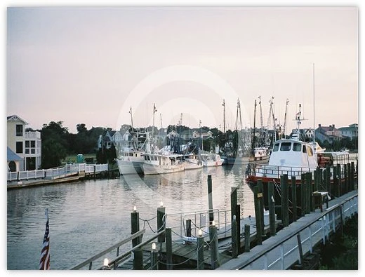Shem Creek Two by Suzette Morganelli
