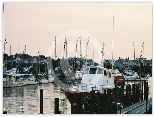 Shem Creek Three by Suzette Morganelli