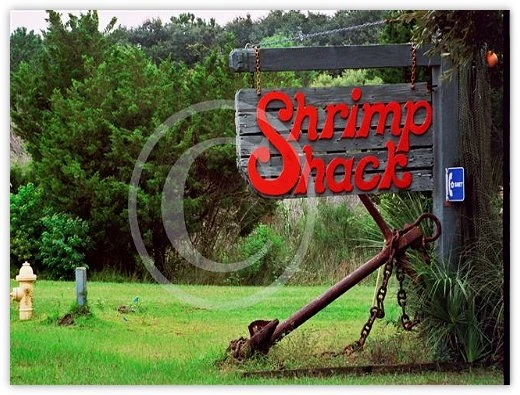Shrimp Shack by Suzette Morganelli