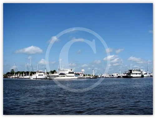 James Island, SC photograph by Suzette Morganelli