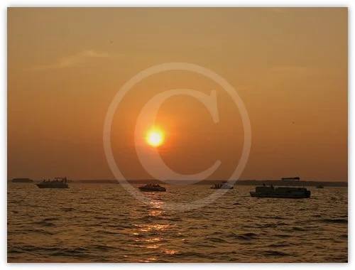 Summer Glow photograph by Suzette Morganelli