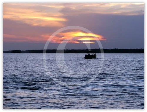 Mid Summer’s Eve photograph by Suzette Morganelli