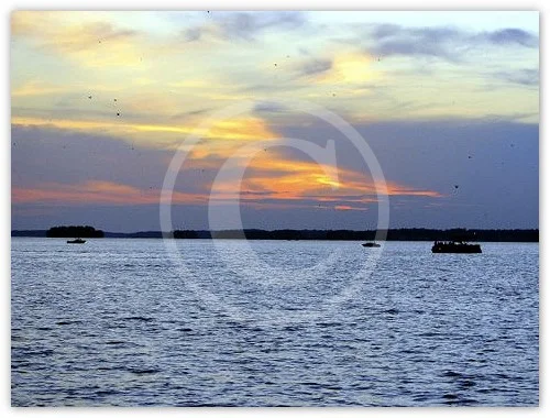 Summer Solstice photograph by Suzette Morganelli