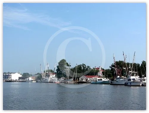 Georgetown Harbor, SC photograph by Suzette Morganelli