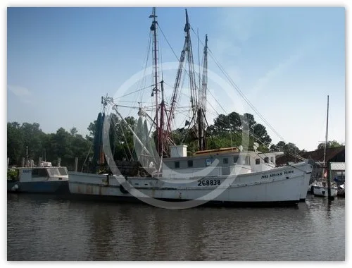Georgetown Harbor, SC photograph by Suzette Morganelli